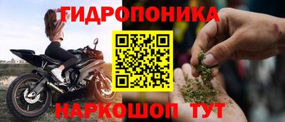 молекула духа Краснознаменск