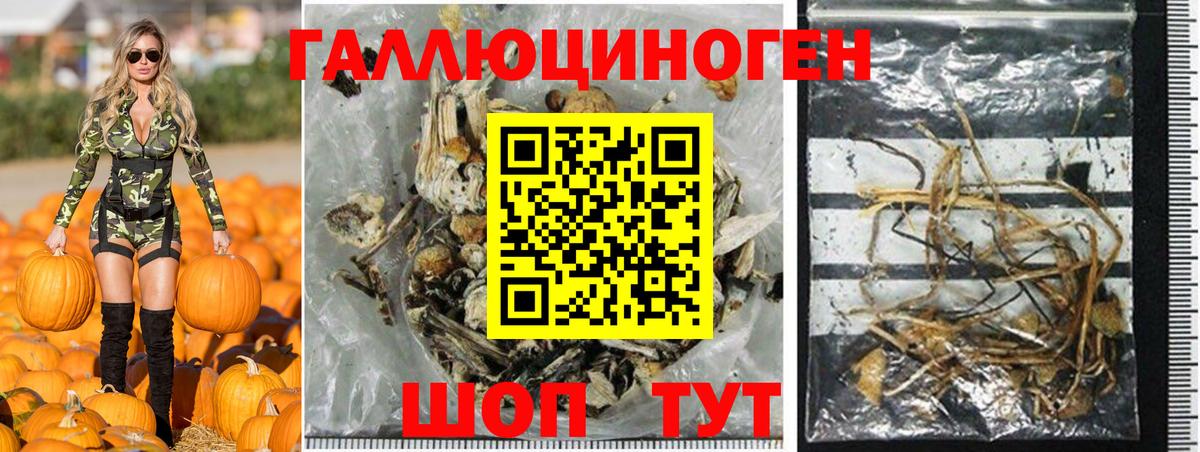 Галлюциногенные грибы мухоморы Клинцы