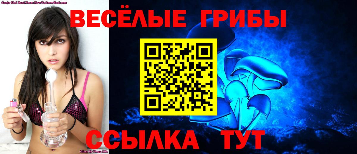 Клинцы  Галлюциногенные грибы GOLDEN TEACHER  Вход с VPN  Галлюциногенные грибы ЛСД 